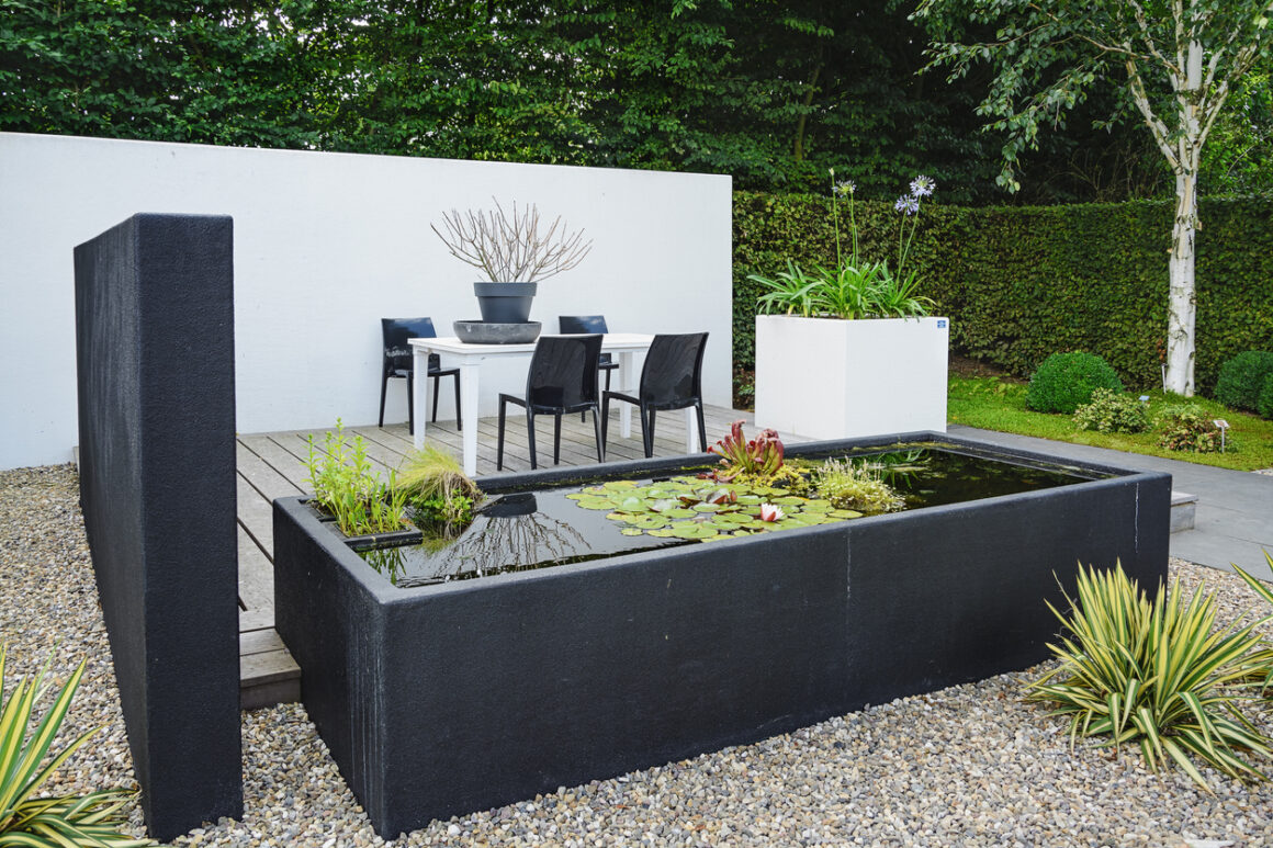 Water Garden Ideas for a Serene Backyard Retreat water Garden with modern garden furniture and trendy pond