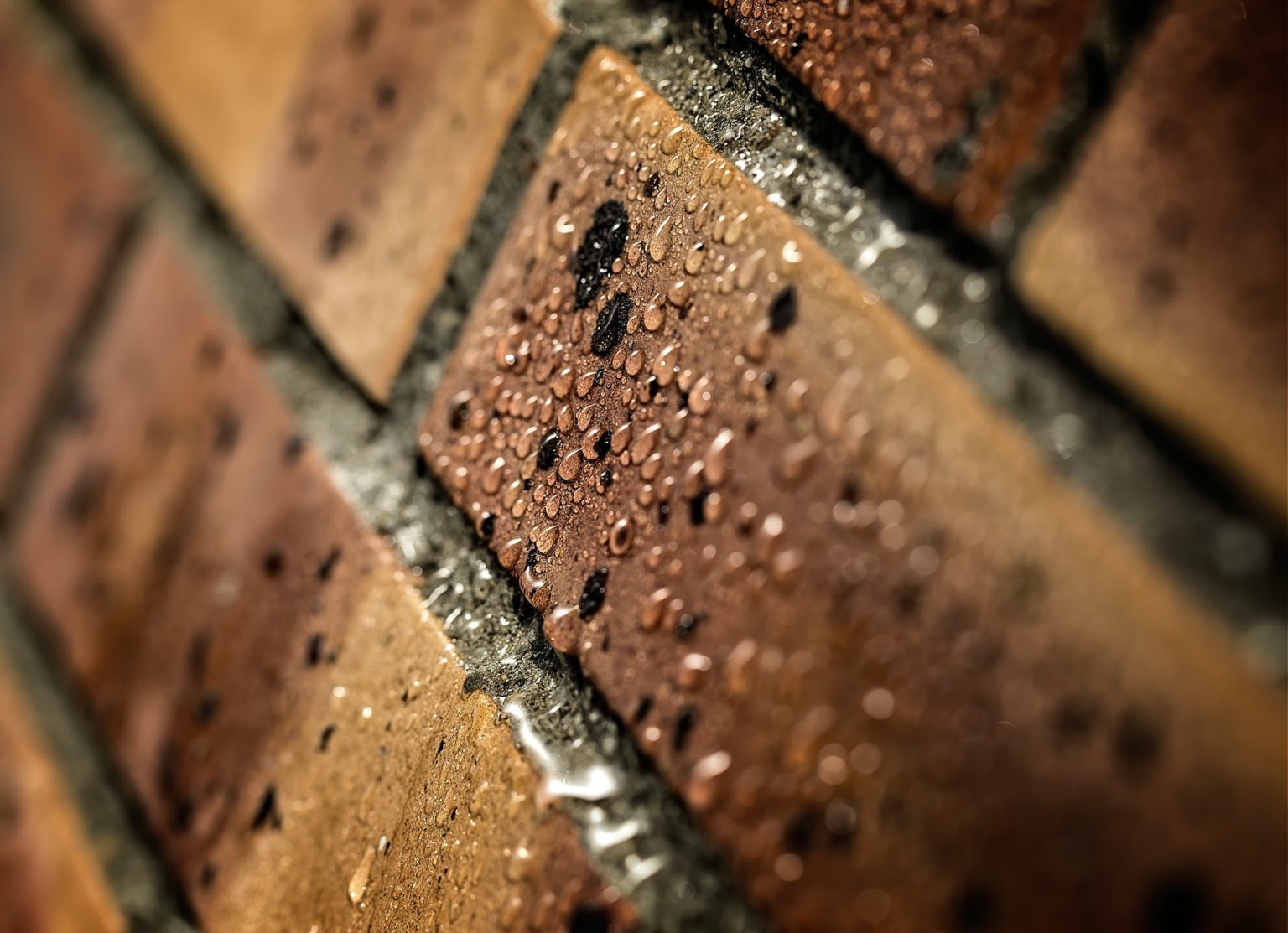 Things to Consider When Hiring a Waterproofing Contractor MAIN-PHOTO-getting-a-waterproofing-contractor