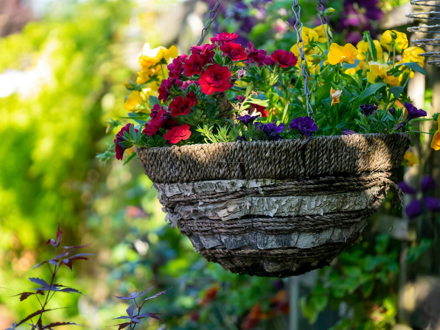 How to Plant Hanging Baskets Colorful hanging flower plants. Photo by Geraldine Dukes via unsplash